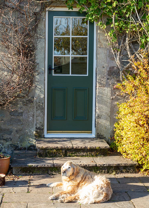 Traditional doors with a home dog